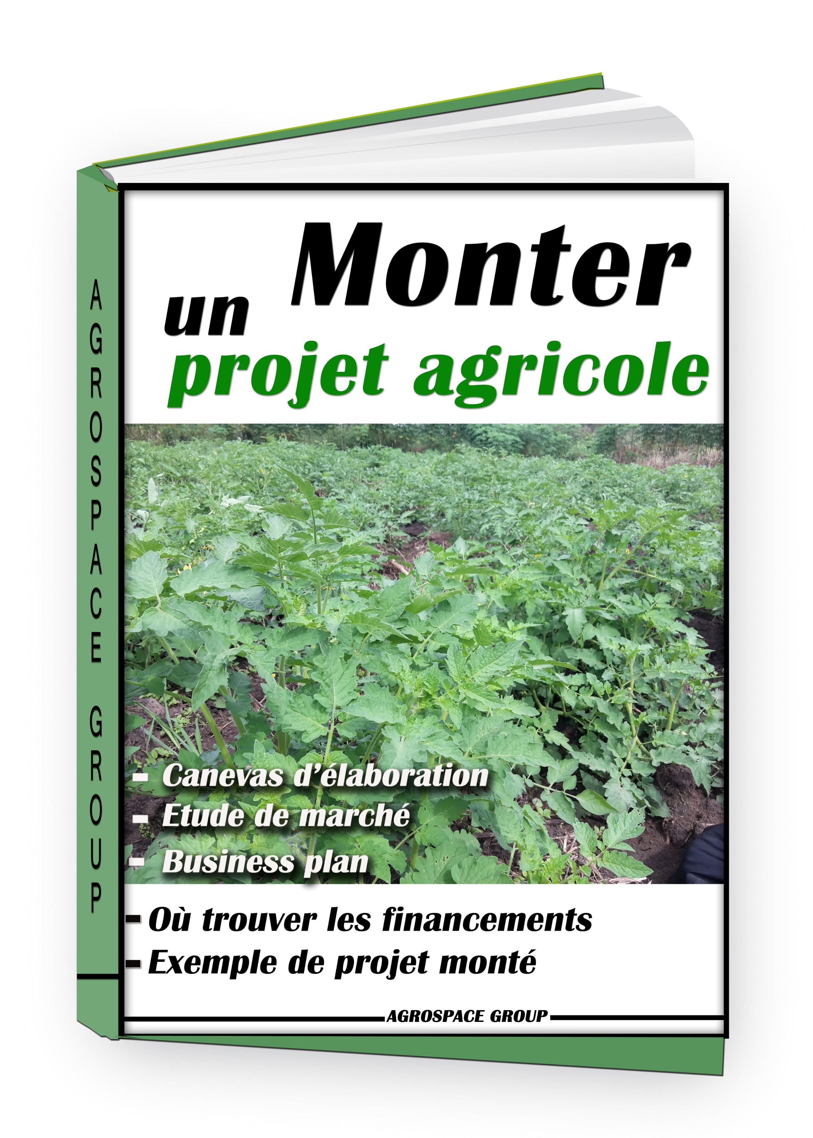 LIVRE⎮Comment Monter et Rédiger un projet d'agriculture en Afrique